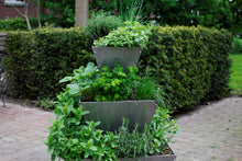 kruiden, aluminium, verticaal tuinieren