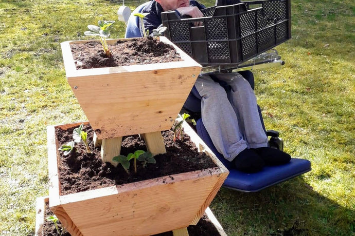 Erste Erdbeeren in Koonings Jaght gepflanzt