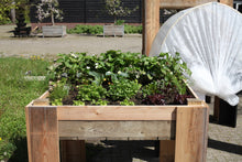 Moestuinbak met uniek waterbuffersysteem