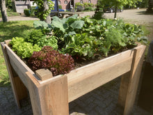 Moestuinbak met uniek waterbuffersysteem