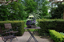 stapeltuin, verticaal tuinieren, aluminium, tafelmodel, binnen, buiten, compact, vetplanten, bloemen