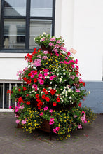 stapeltuin, bloemen, dorp, stadscentrum, verticaal tuinieren