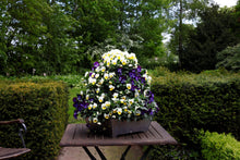 stapeltuin, verticaal tuinieren, aluminium, tafelmodel, binnen, buiten, compact, vetplanten, bloemen
