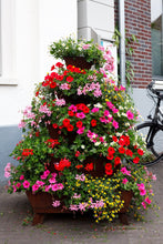 stapeltuin, bloemen, dorp, stadscentrum, verticaal tuinieren