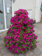 stapeltuin, cortenstaal, verticaal tuinieren, bloemen, bloementoren, bloemenzuil, petunia, surfinia, geranium