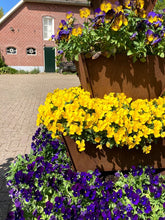stapeltuin, cortenstaal, verticaal tuinieren, bloemen, bloementoren, bloemenzuil, violen
