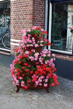 stapeltuin, cortenstaal, verticaal tuinieren, bloemen, bloementoren, bloemenzuil, geraniums