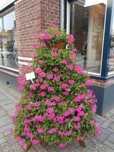 stapeltuin, cortenstaal, verticaal tuinieren, bloemen, bloementoren, bloemenzuil, petunia, surfinia, geranium