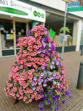 stapeltuin, cortenstaal, verticaal tuinieren, bloemen, bloementoren, bloemenzuil, petunia, surfinia, geranium